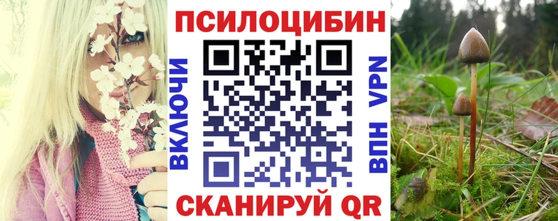 хочу наркоту  Гвардейск  Галлюциногенные грибы ЛСД 